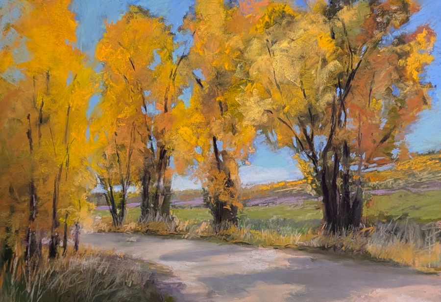 Autumn Colors in Steamboat Springs, Colorado